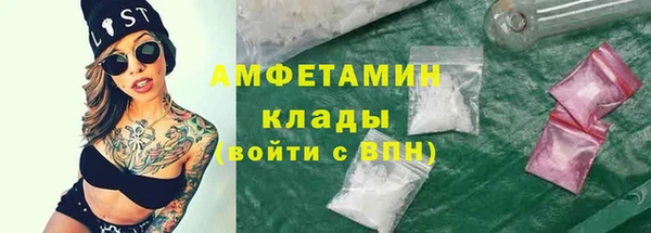 прущие грибы Гусь-Хрустальный