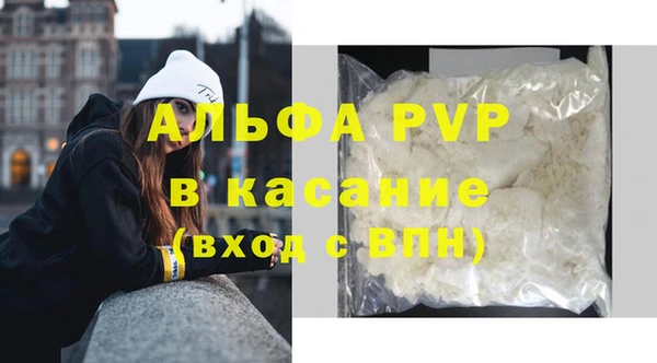прущие грибы Гусь-Хрустальный