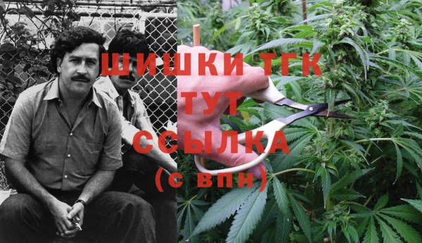 mdma Гусев