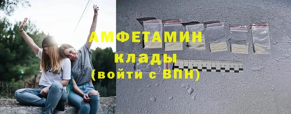 прущие грибы Гусь-Хрустальный