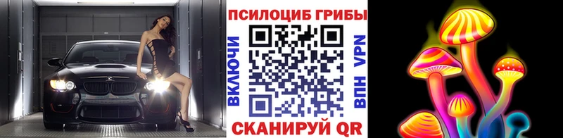 Галлюциногенные грибы Psilocybe Нариманов