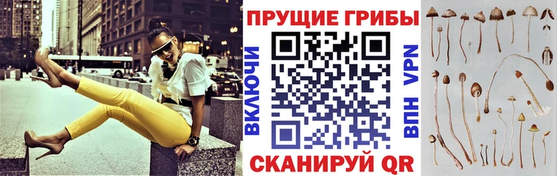 Псилоцибиновые грибы мухоморы  Купить закладки  Нариманов 